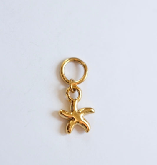 Starfish charm C33