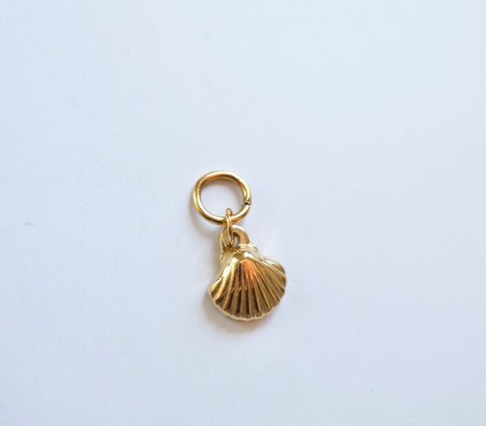 Shell charm C2