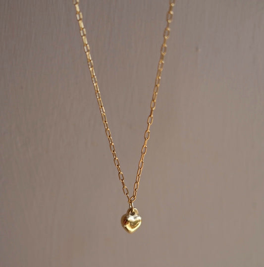 Heart drop dainty necklace N49